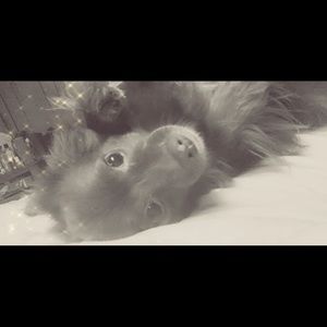 Meet your Posher, Candace